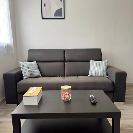 Luxurious And Stylish Between & Paris Apartment Champs-Sur-Marne